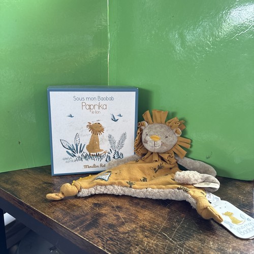 Doudou lion sous mon - lion,